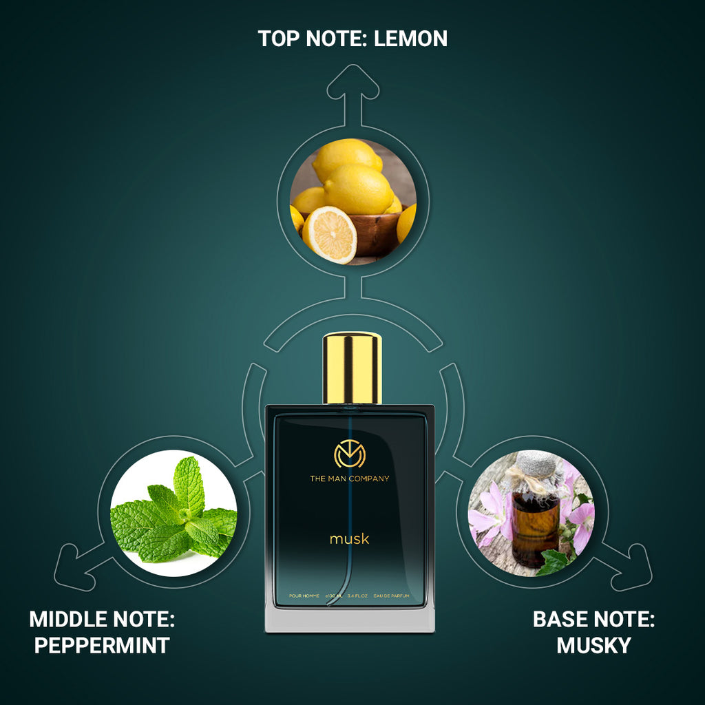 Perfumes with 2025 musk base notes