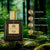 Eau De Parfum | Oud Earth (100ml)