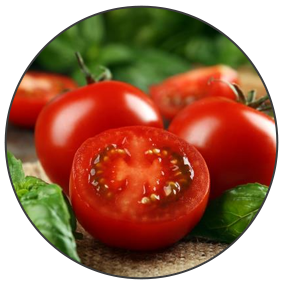 Tomato Extract